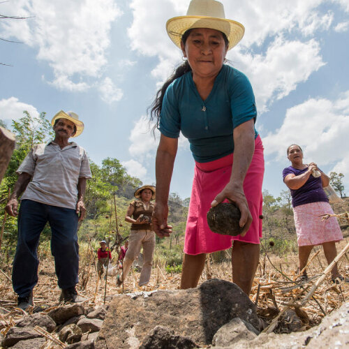 Restaurer, climate action