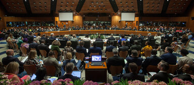 WFP/Giulio Napolitano Conseil d'administration